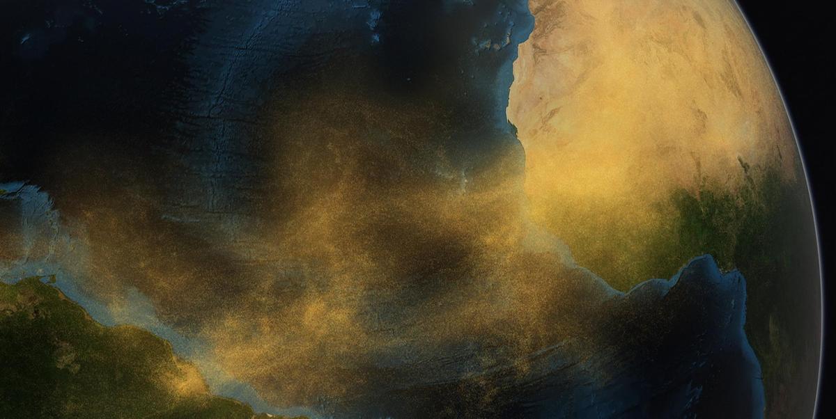 How the Sahara Keeps the Amazon Rainforest Going