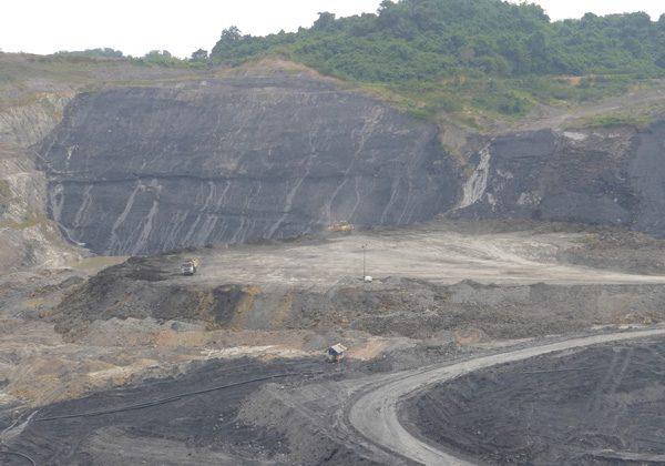 Indonesia Reaffirms Commitment for Mining and Logging