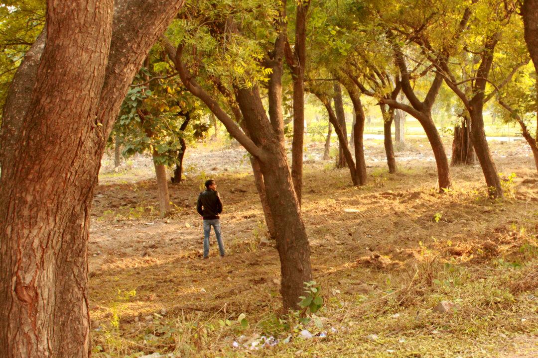 India Tries Public Shaming to Tackle Its Culture of Public Urination