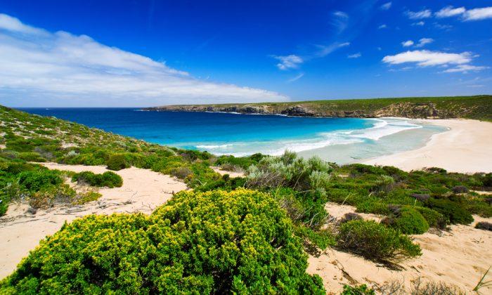 Top Reasons to Visit South Australia