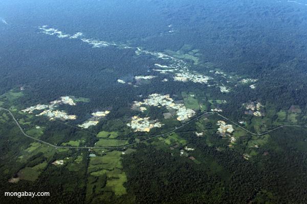 Peru Expanding Highways Into Rainforest Lands