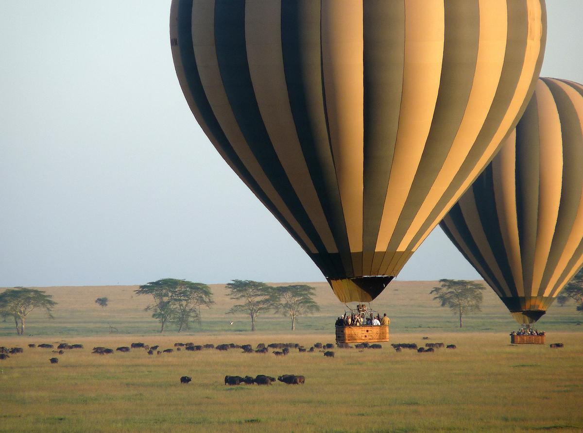 Soaring Over the Endless Serengeti Plain