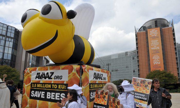 GOP and the Bees—Time for Republicans to Reclaim Their Eco-Heritage