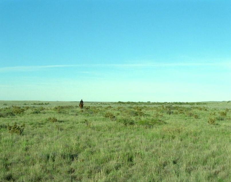 Gunnar Dinesen (Viggo Mortensen) rides his horse through the grass, in "Jauja." (The Cinema Guild)