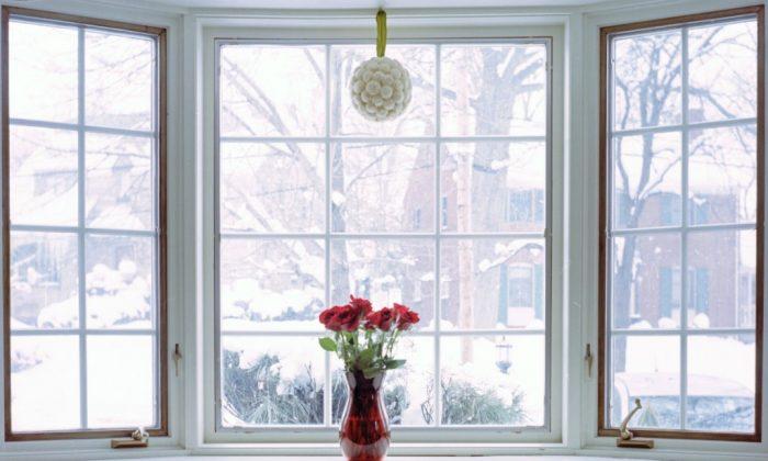 Window Problems: When to Fix and When to Replace