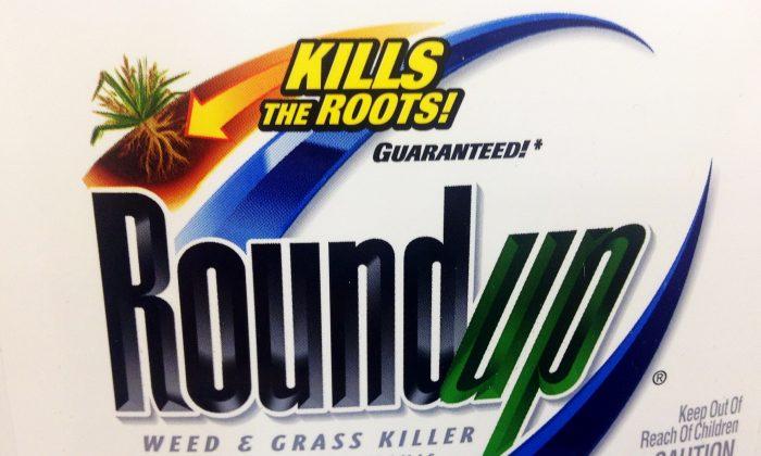 MIT Researcher Suspects Link Between Glyphosate, GMOs and the Autism Epidemic