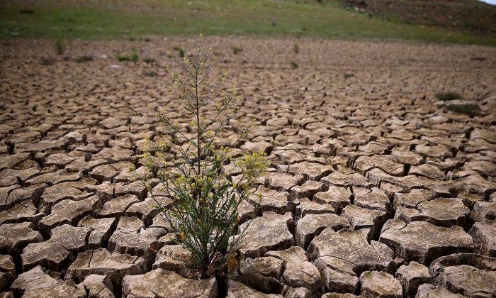 How Climate Change and Resource Scarcity Are Upending World Politics