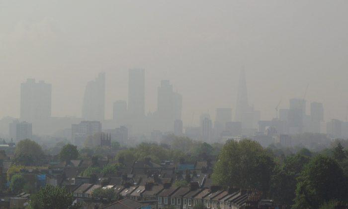 Air Pollution May Be Damaging Children’s Brains – Before They Are Even Born