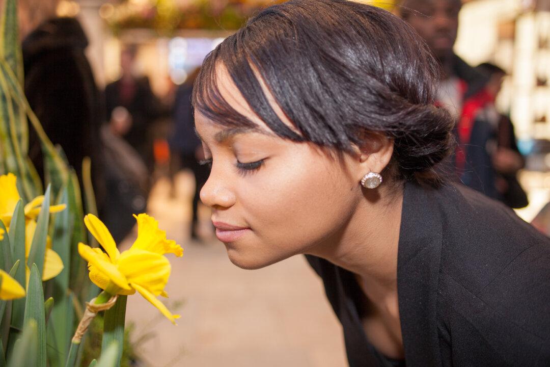 What’s That Smell? A Controversial Theory of Olfaction Deemed Implausible