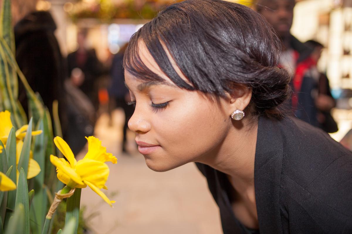 What’s That Smell? A Controversial Theory of Olfaction Deemed Implausible