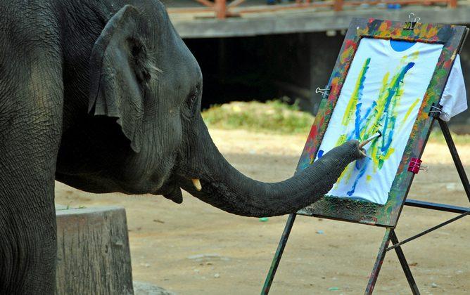 Can Animals Ever Be Artists?