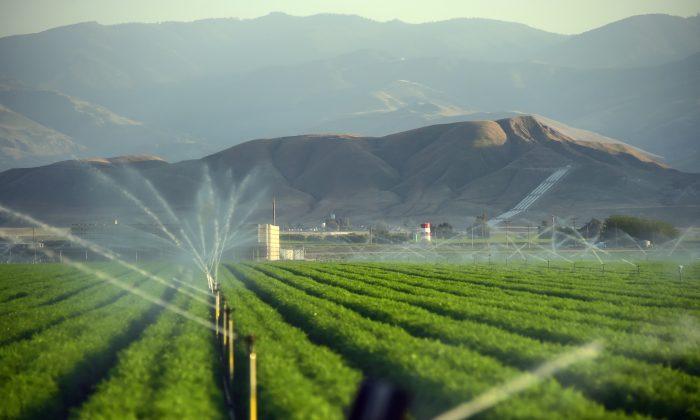 California’s Drought Means You’re Going to Pay More for Almonds, Avocados, Peaches, and Broccoli
