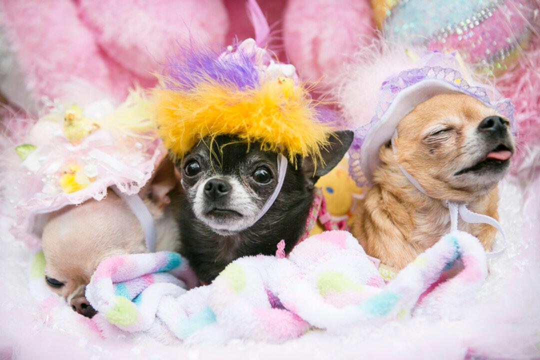 Easter Parade: Put on a Bonnet and Mingle