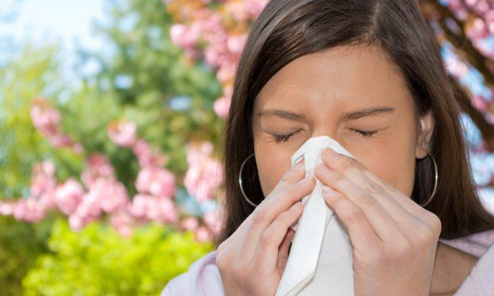 Spring Allergy Season Is Imminent -- Despite This Winter’s Snow and Cold Temperatures! 