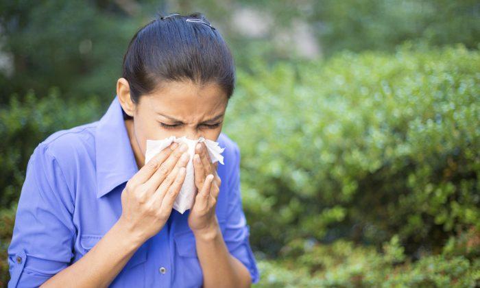 How to Reduce Your Exposure to Allergens Plus 5 Natural Solutions