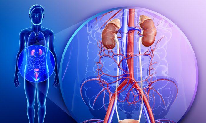15 Ways to Protect Your Kidneys