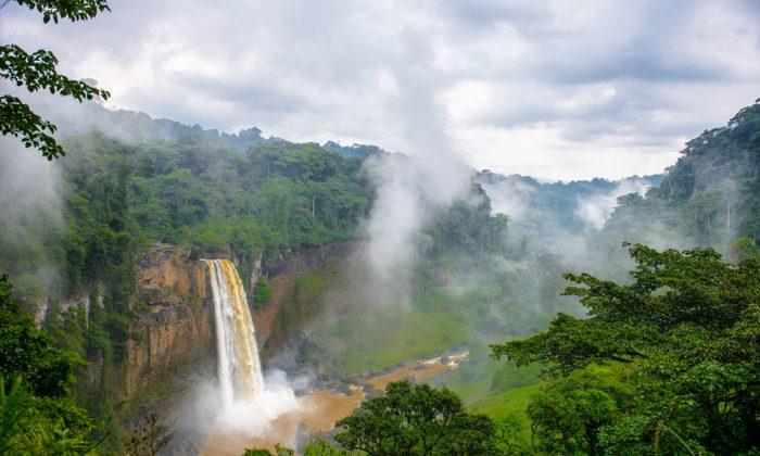 Top Things to Do in Cameroon