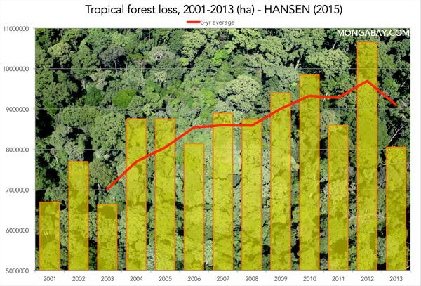 Tropical Forests ‘Worsening’, Could Become ‘Critical’
