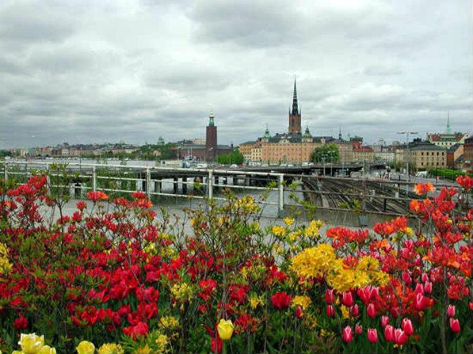 What to See and Do in Stockholm