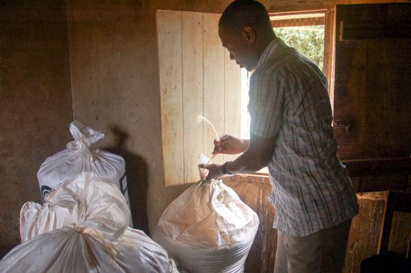 Finding Solutions for Grain Shortage in Africa