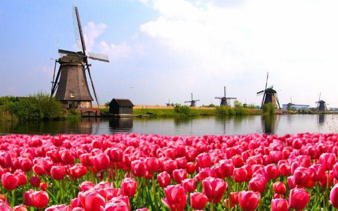 Best Time to Visit the Netherlands