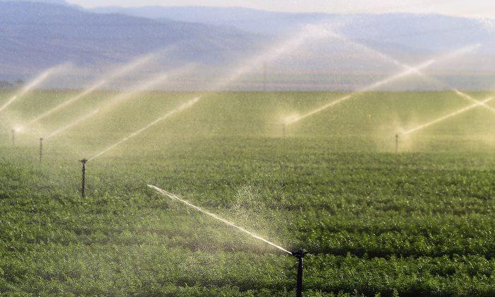 California’s Water Problems Aren’t Just About Drought