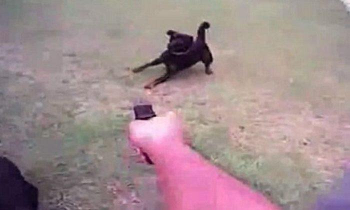Video Shows a Cop Killing a Family’s Dog, and its Owner Wants Justice