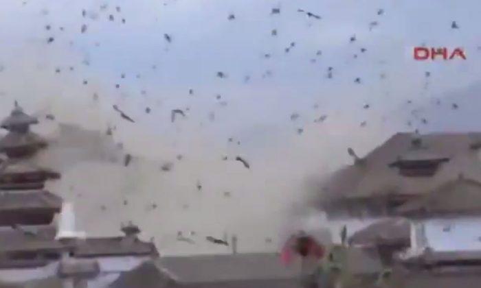 Shocking Video Shows Moment Birds Filled the Sky When Earthquake Hit Nepal
