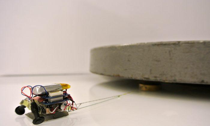 Ant-Like Robot Can Haul Objects 2,000 Times Its Own Weight (Video)