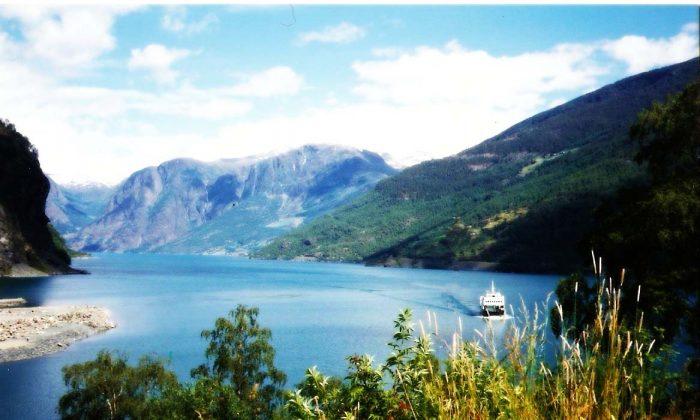 Fjords Are Surprisingly Awesome at Carbon Storage