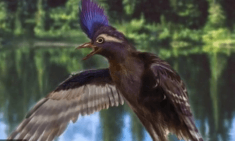 Modern Birds’ Oldest Known Ancestor Found in China (Video)