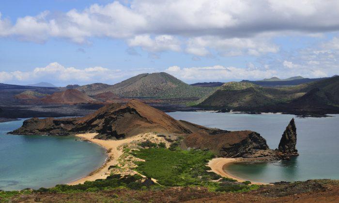 Exploring the Top Reasons to Visit the Galapagos Islands