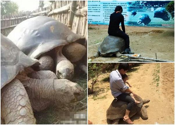 Chinese Netizens Call This Zoo an ‘Animal Concentration Camp’