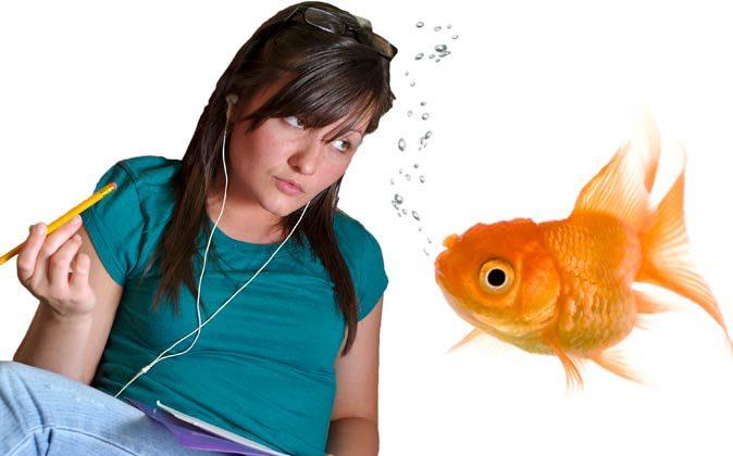 Millennials’ Attention Spans One Second Shorter Than Goldfish