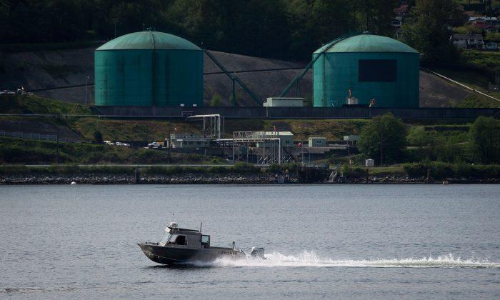 Expert Drops Out of ‘Biased’ Kinder Morgan Trans Mountain Pipeline Review