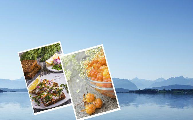 The Nordic Diet: An Evidence-Based Review