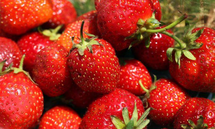 Hepatitis A From Egyptian Berries Infects 50 in Four States