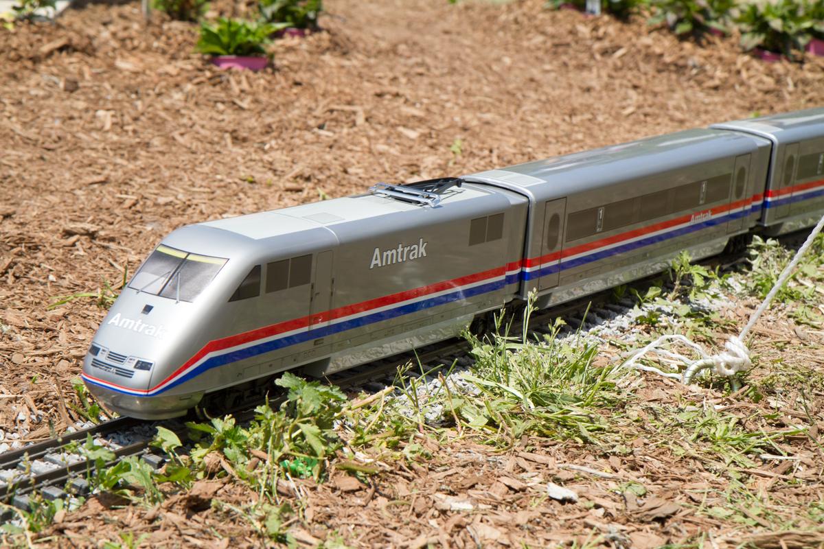 Shots Fired on Amtrak Train in Arizona, 1 in Custody