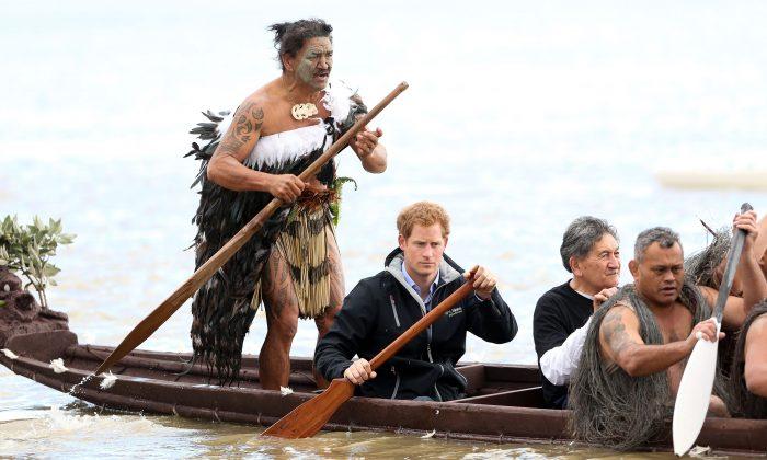 Eight Activities to Do in New Zealand (Like Prince Harry)