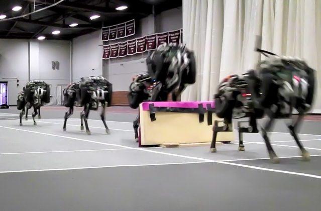 Watch This Remarkably Real-Looking Robot Cheetah Jump Hurdles (Video)