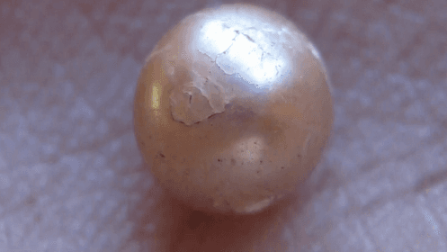 Archaeologists Uncover Rare 2,000-Year-Old Pearl (Video)