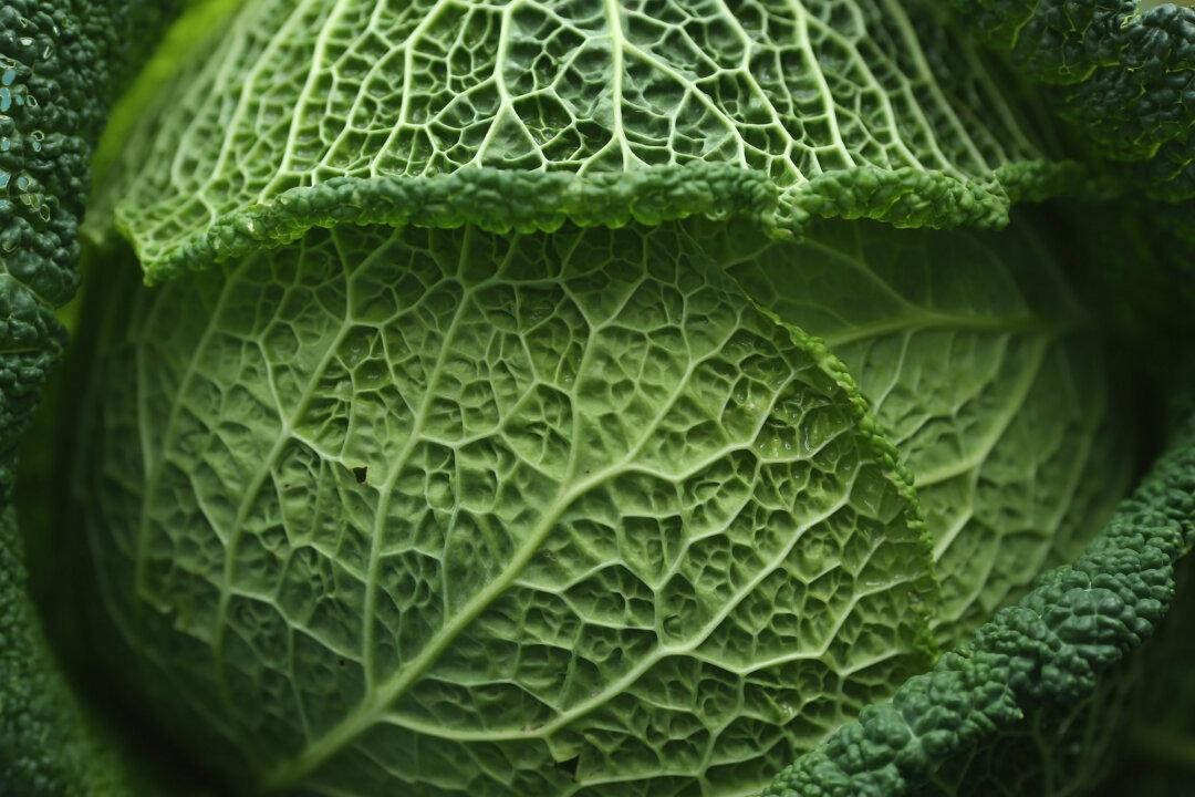 Cabbage Beats Chemo for Cervical Cancer
