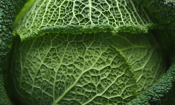Cabbage Beats Chemo for Cervical Cancer