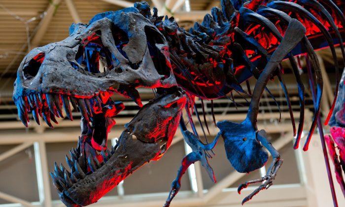 Could Geneticists Make Jurassic World a Reality?