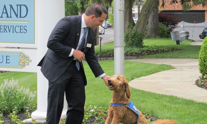 Funeral Homes Increasingly Using Dogs to Comfort Mourners