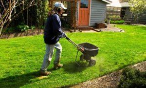 Lawn-Care Basics: How Much to Cut, Irrigate, Fertilize