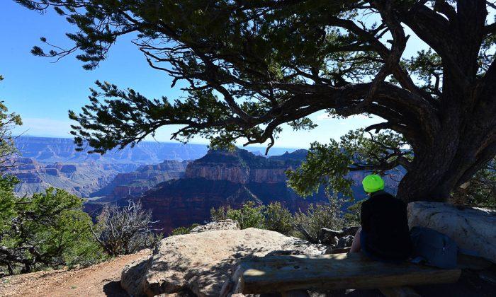 It’s Time to Visit the Unspoiled Grand Canyon North Rim