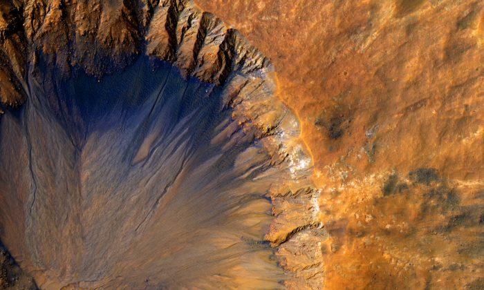 How Synthetic Bacteria Could Take Us to Mars
