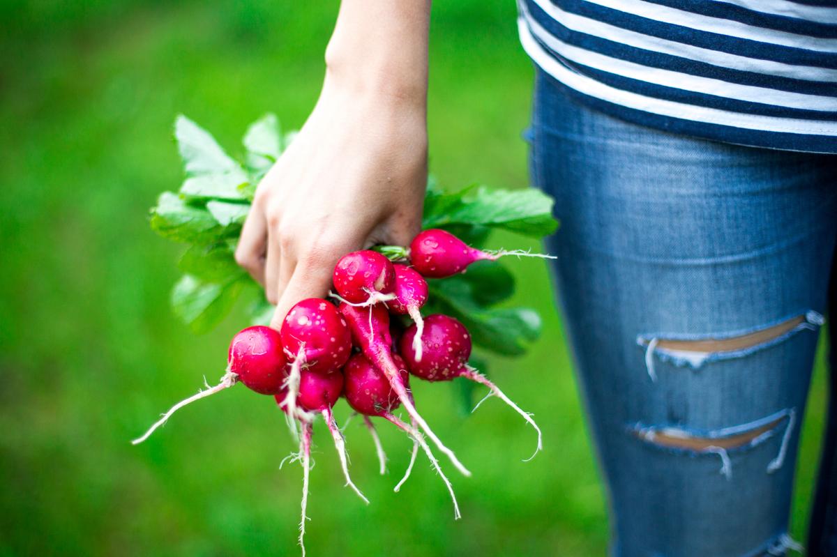 5 Simple Rules for a Healthy Life