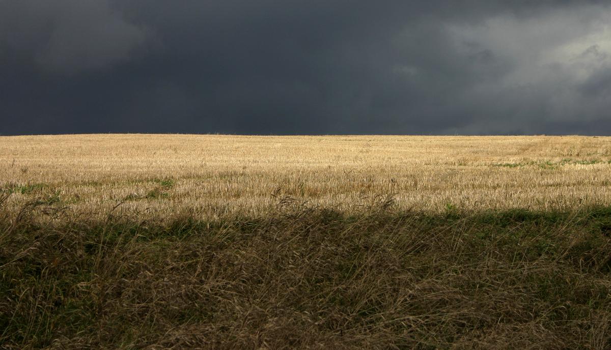 Huge, Unexplained Hole Smoothly Cut in Washington Field—and 3 Other Bizarre Events